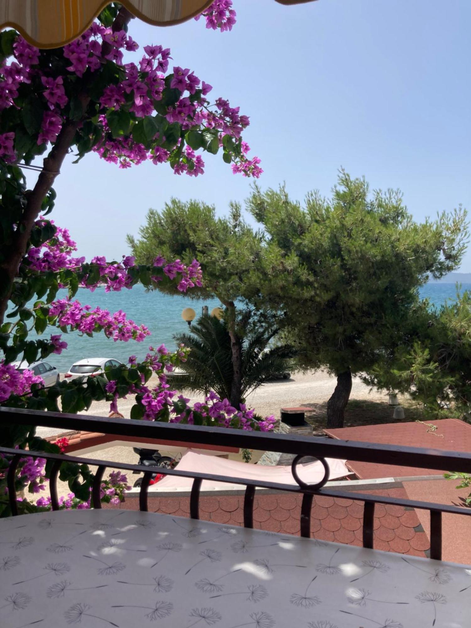Apartment Desa Zadar